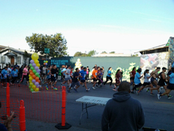 NutrishopMP - 5k Run for Peace NutrishopMP - 5k Run for Peace